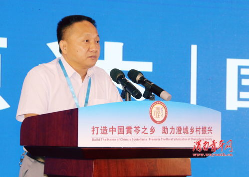 陕西澄城中药材产业开启高质量发展新篇章