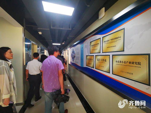 大河奔腾丨从一粒小麦到全产业链 滨州中裕食品的产业图谱与技术革新